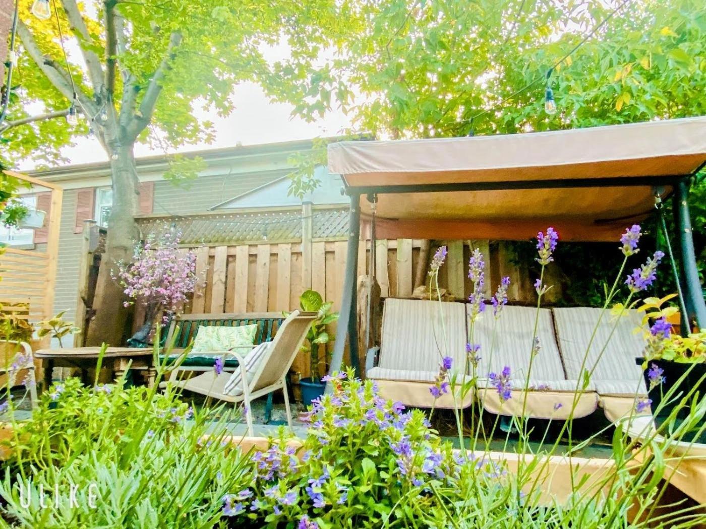 Toronto Bed & Breakfast - Free Parking Zewnętrze zdjęcie