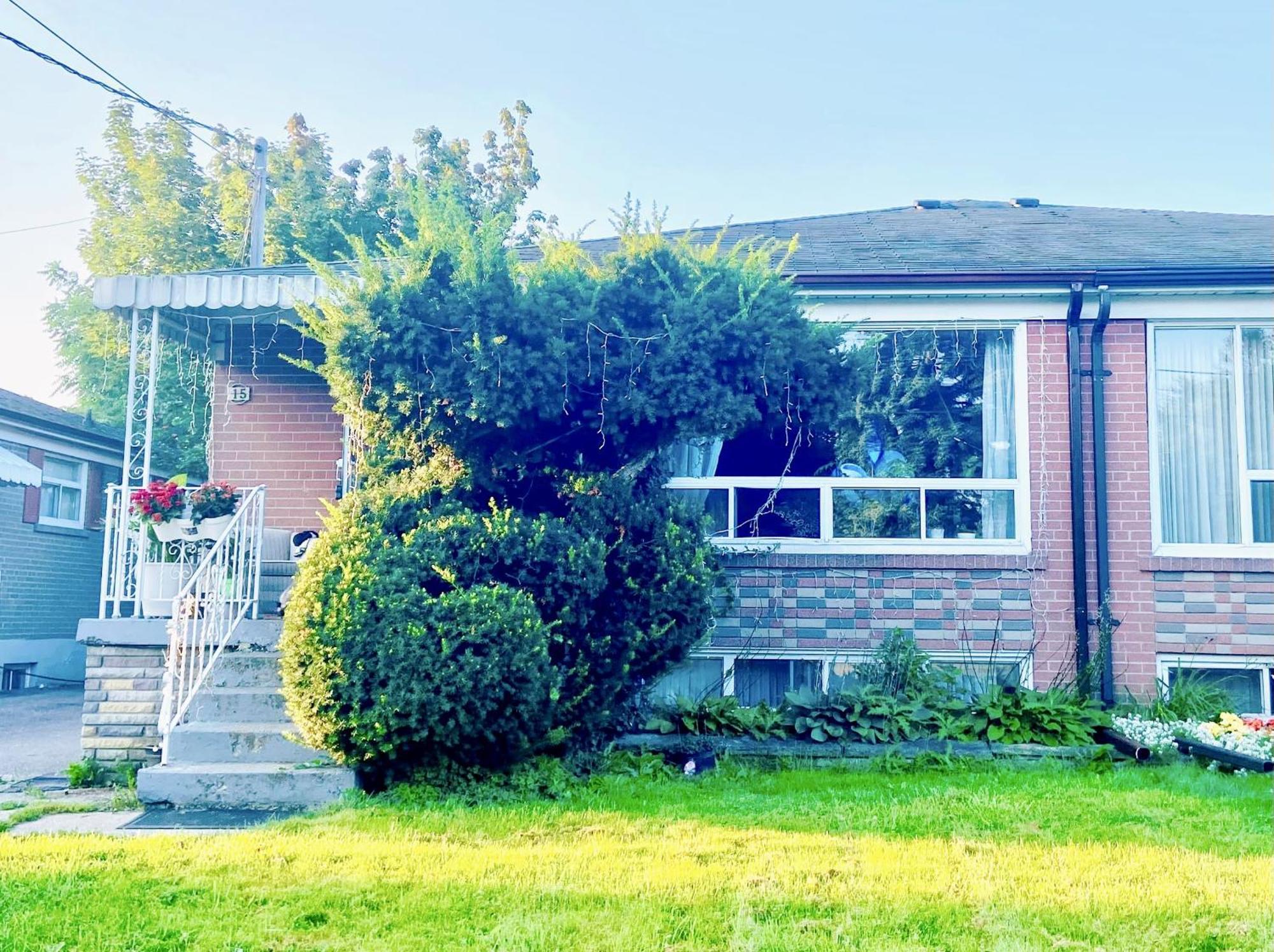 Toronto Bed & Breakfast - Free Parking Zewnętrze zdjęcie